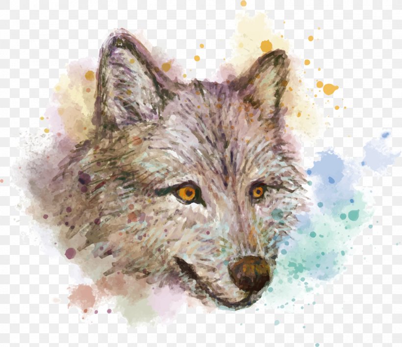 Gray Wolf Watercolor Painting Red Fox Drawing, PNG, 1552x1341px, Gray Wolf, African Wild Dog, Animal, Canidae, Carnivoran Download Free