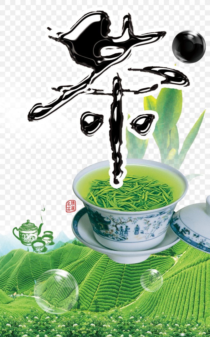 Green Tea Yunnan Yum Cha Pouchong, PNG, 1772x2843px, Tea, Advertising, Flyer, Food, Grass Download Free