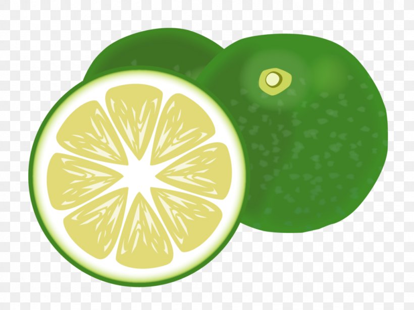 Persian Lime Kabosu Lemon Key Lime, PNG, 1024x768px, Persian Lime, Bitter Orange, Citric Acid, Citron, Citrus Download Free