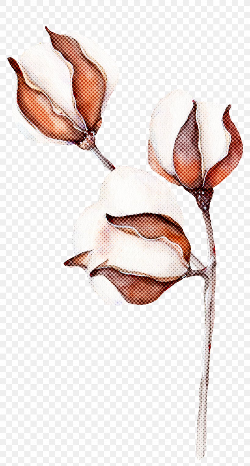 Plant Branch Flower Magnolia, PNG, 1608x3000px, Plant, Branch, Flower, Magnolia Download Free