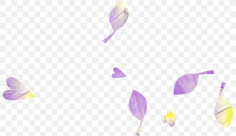 Flowering Plant, PNG, 800x474px, Flowering Plant, Flower, Lavender, Lilac, Petal Download Free
