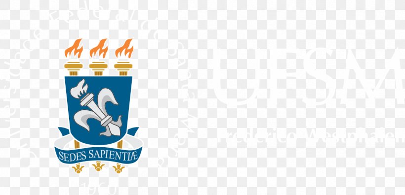 Logo Brand Federal University Of Santa Maria, PNG, 1248x604px, Logo, Blue, Brand, Federal University Of Santa Maria, Symbol Download Free