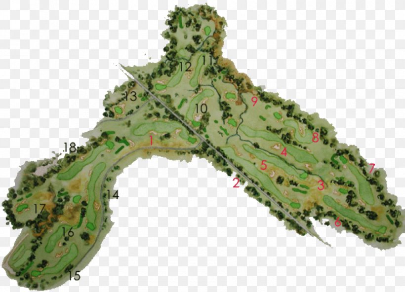 Merion Golf Club Tree Lawn Golf Course, PNG, 900x650px, Merion Golf Club, Golf, Golf Course, Grass, Lawn Download Free