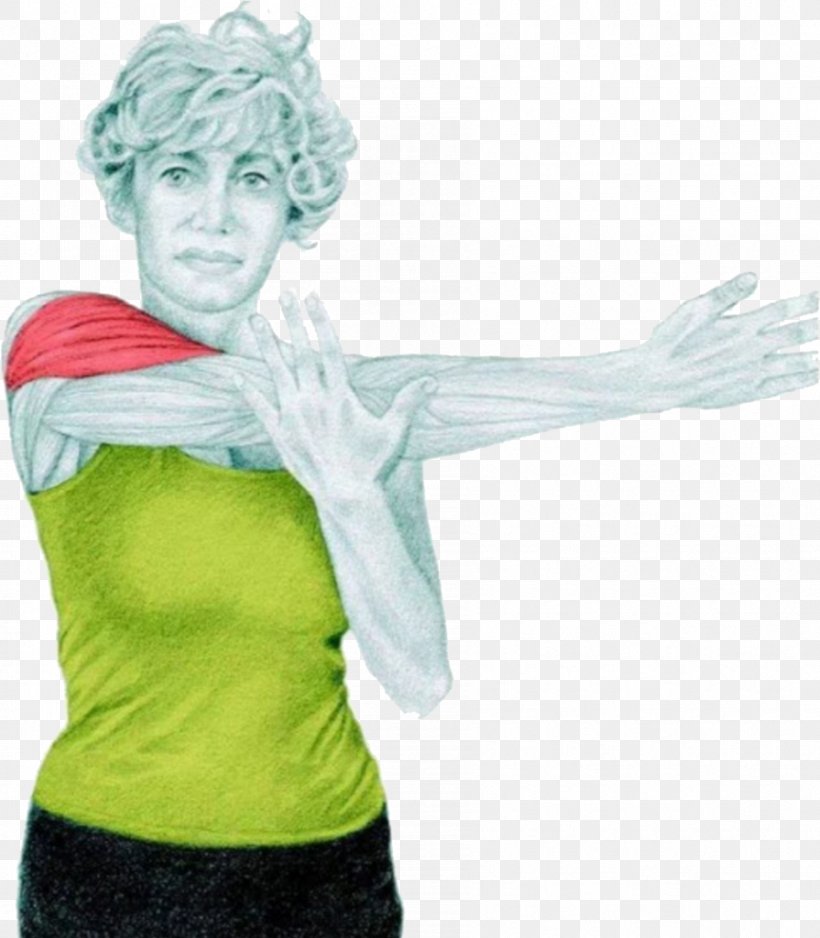 Stretching Exercise Muscle Physical Fitness Fitness Centre, PNG, 895x1024px, Stretching, Arm, Bodybuilding, Cooling Down, Costume Download Free