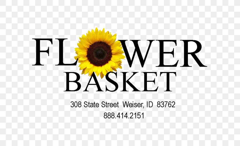 The Flower Basket Floristry Sister Family, PNG, 800x500px, Flower Basket, Brand, Child, Cut Flowers, Daughter Download Free
