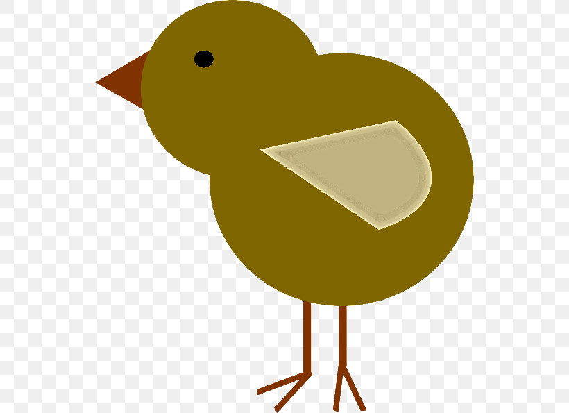 Bird Beak Water Bird Ducks, Geese And Swans Duck, PNG, 546x595px, Bird, Beak, Duck, Ducks Geese And Swans, Water Bird Download Free