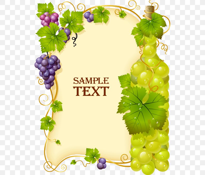 Cabernet Franc Sauvignon Blanc Pinot Gris Cabernet Sauvignon Wine, PNG, 543x699px, Cabernet Franc, Cabernet Sauvignon, Common Grape Vine, Flowering Plant, Food Download Free