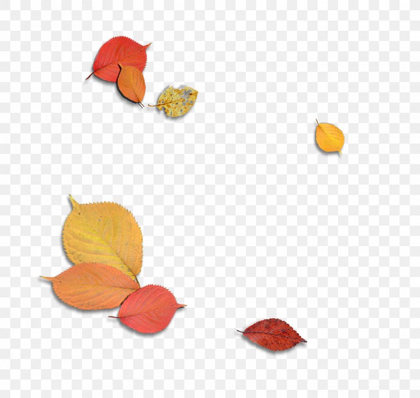 Maple Leaf Autumn, PNG, 2278x2158px, Leaf, Autumn, Color, Concepteur, Deciduous Download Free