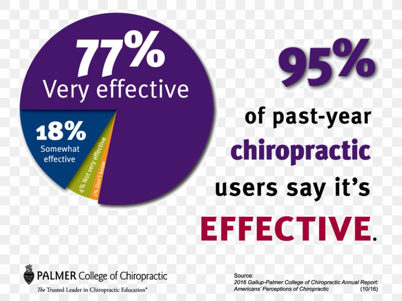 Palmer College Of Chiropractic Chiropractor Back Pain Spinal Adjustment, PNG, 1000x750px, Palmer College Of Chiropractic, Advertising, Area, Back Pain, Brand Download Free