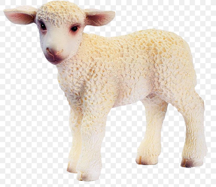 Sheep Toy Schleich Sklep Kleks, PNG, 800x711px, Sheep, Agneau, Animal Figure, Bullyland, Cow Goat Family Download Free