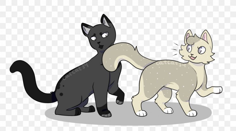 Whiskers Kitten Dog Cat Mammal, PNG, 1024x569px, Whiskers, Animal, Animal Figure, Black, Canidae Download Free