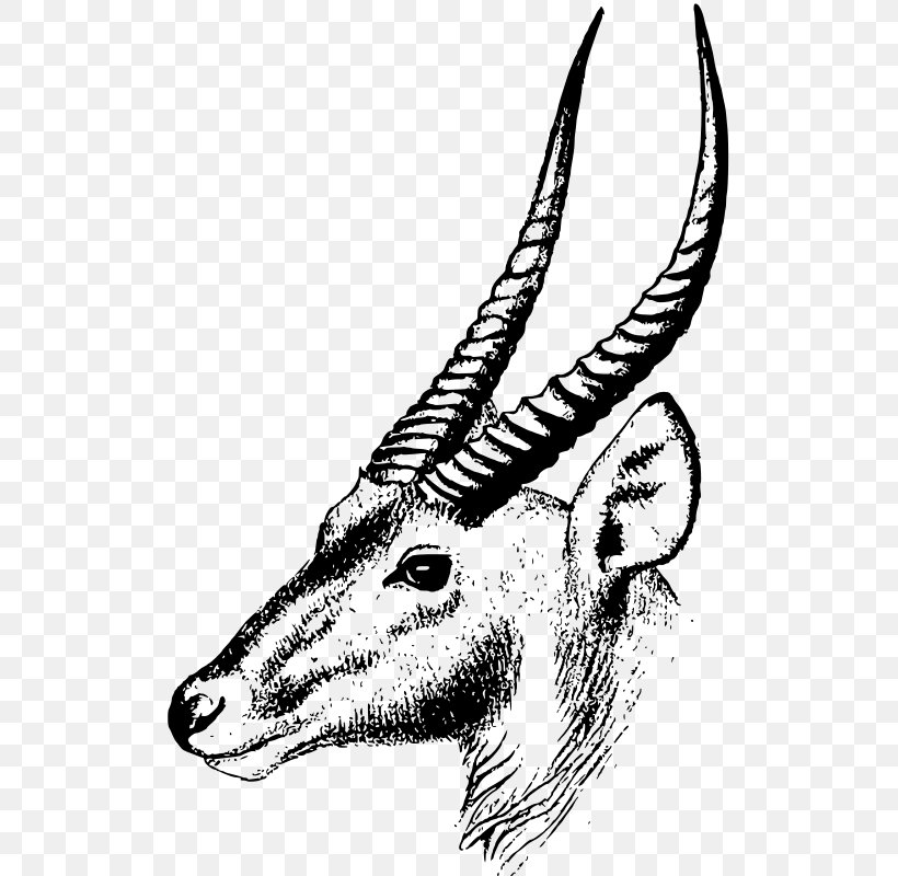 Antelope Oryx Impala Clip Art, PNG, 520x800px, Antelope, Art, Black And White, Carnivoran, Cattle Like Mammal Download Free