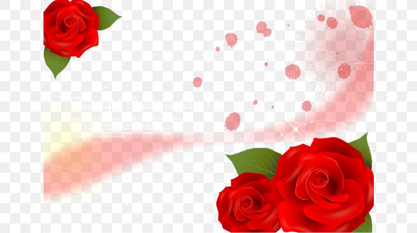 Garden Roses Beach Rose Red, PNG, 650x459px, Garden Roses, Beach Rose, Color, Floral Design, Floristry Download Free