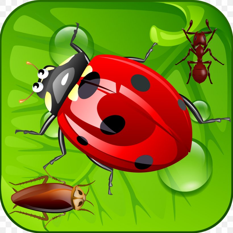 IPod Touch App Store Beetle ITunes, PNG, 1024x1024px, Ipod Touch, App Store, Apple, Arthropod, Beetle Download Free