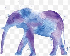 Vector Elephant - Lion Indian Elephant Deer Drawing Watercolor Painting PNG