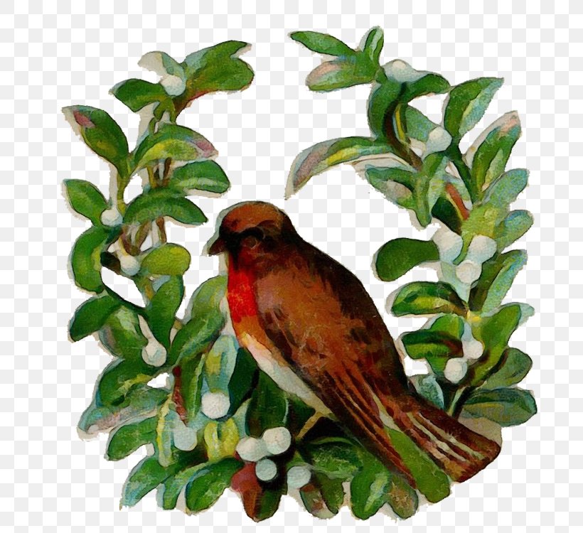 Bird Beak Songbird Perching Bird Branch, PNG, 731x750px, Watercolor, Beak, Bird, Branch, Cuckoo Download Free