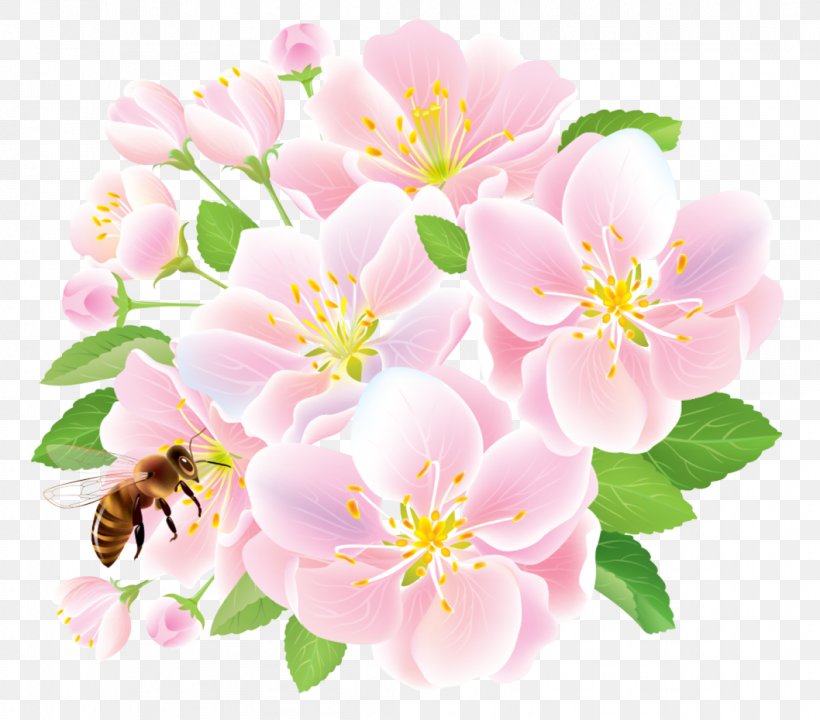 Flower Flowering Plant Petal Pink Plant, PNG, 1058x930px, Flower, Blossom, Flowering Plant, Petal, Pink Download Free