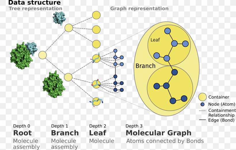 Product Design Tree Line Point, PNG, 1792x1147px, Tree, Area, Diagram, Organism, Plant Download Free