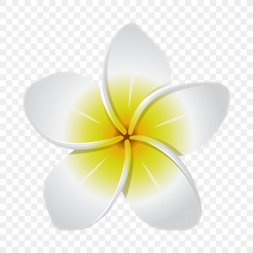 Image Flower Sticker Desktop Wallpaper, PNG, 1000x1000px, Flower, Frangipani, Language, Logo, Petal Download Free