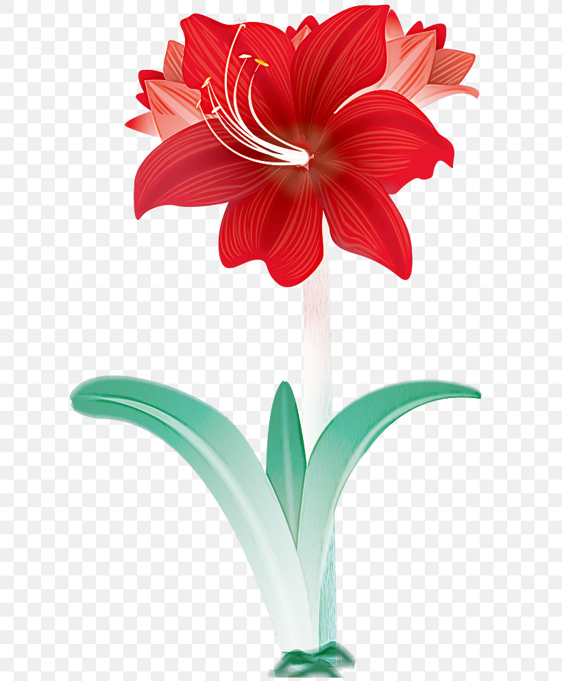 Lily Flower Floral, PNG, 619x994px, Lily Flower, Amaryllis, Artificial Flower, Blue Rose, Cut Flowers Download Free
