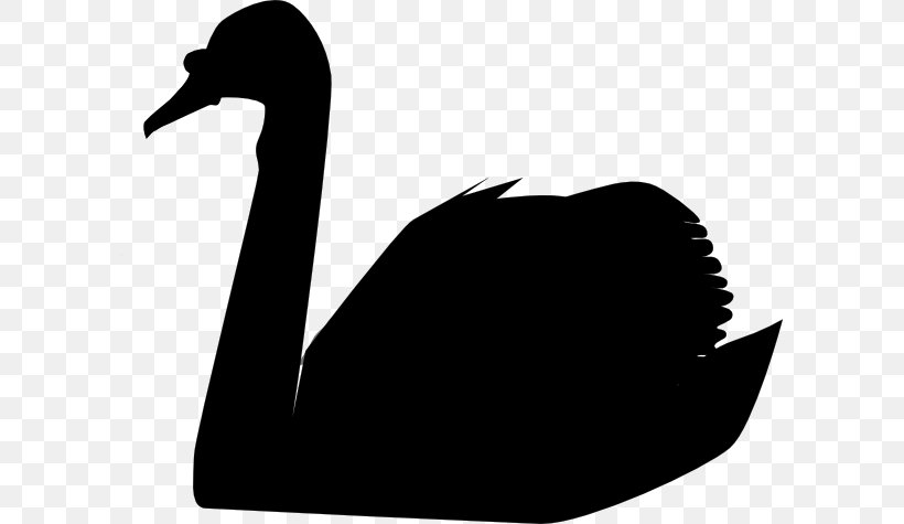 The Black Swan: The Impact Of The Highly Improbable Mute Swan Bird Clip Art, PNG, 600x475px, Mute Swan, Beak, Bird, Black And White, Black Swan Download Free