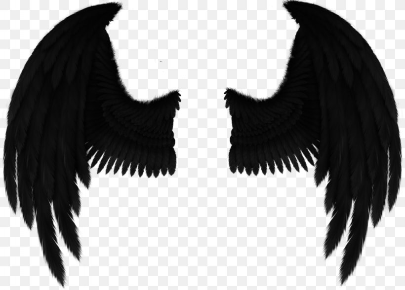 Drawing Fallen Angel Art, PNG, 1024x735px, Drawing, Angel, Art, Beak, Black And White Download Free
