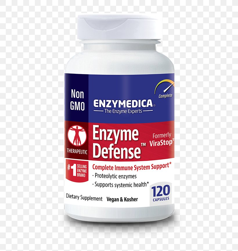 Enzyme Protease Dietary Supplement Immune System Protein, PNG, 537x864px, Enzyme, Capsule, Dietary Supplement, Digestion, Food Download Free