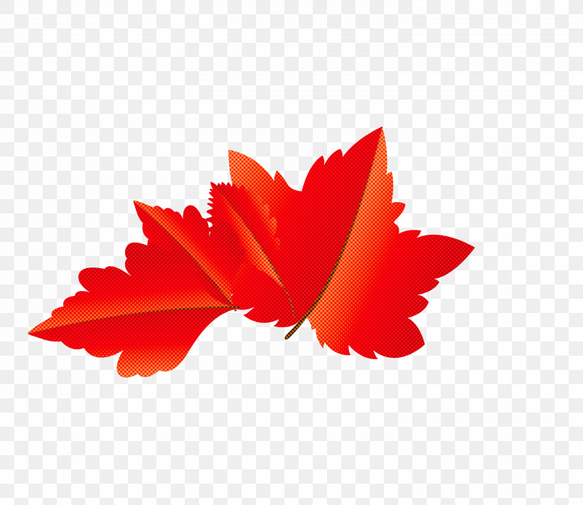 Maple Leaf, PNG, 3000x2600px, Autumn Leaf, Biology, Cartoon Leaf, Fall Leaf, Fern Download Free