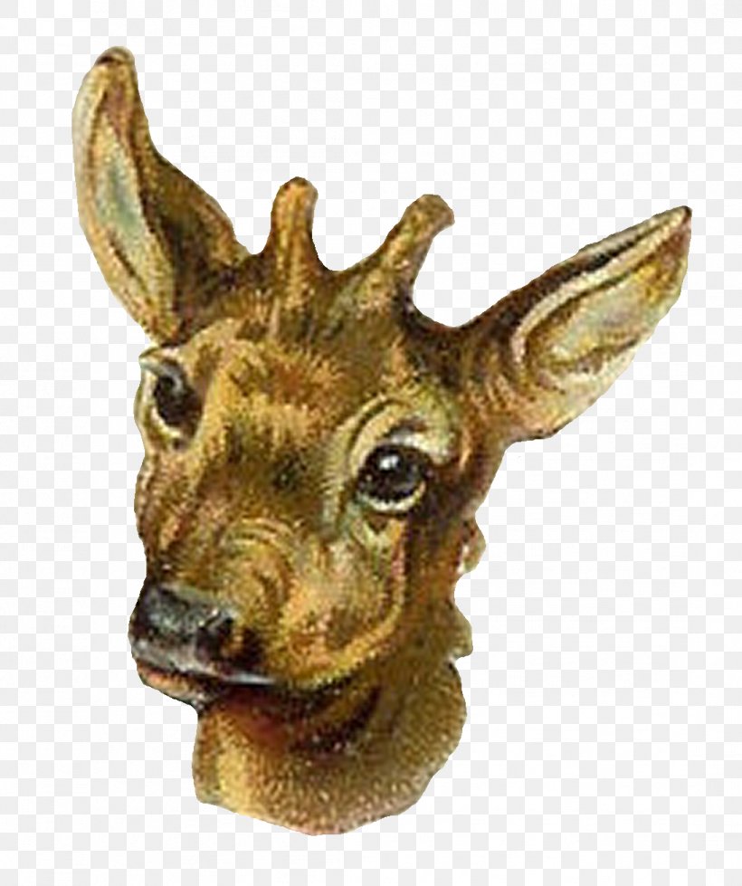 Antelope Reindeer Animal Giraffe, PNG, 1096x1309px, Antelope, Animal, Antler, Deer, Fauna Download Free