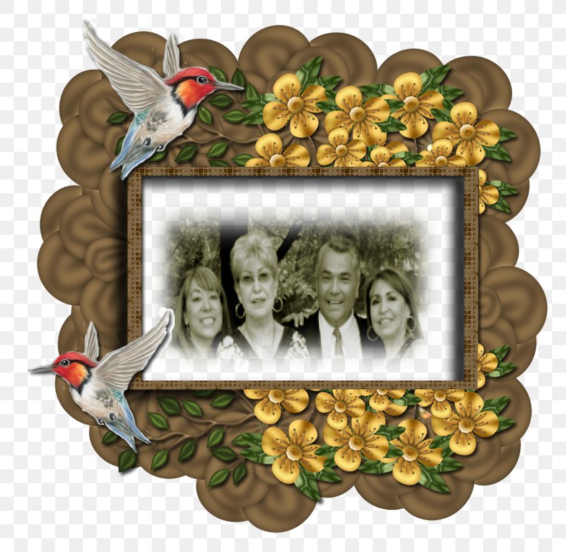 Bird Picture Frames Fruit, PNG, 800x800px, Bird, Fruit, Picture Frame, Picture Frames, Tree Download Free