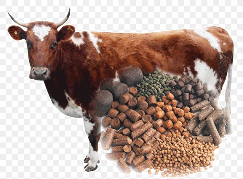 Cattle Feed Transparent Background PNG Cliparts Free 42 OFF