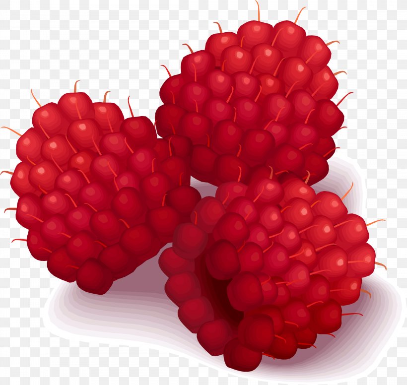 Macaron Raspberry Clip Art, PNG, 2296x2173px, Macaron, Accessory Fruit, Berry, Blackberry, Boysenberry Download Free