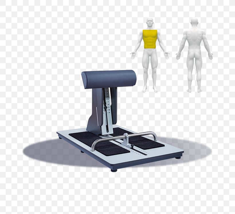 Physical Fitness Fitness Centre Star Trac StairMaster Exxentric AB, PNG, 747x747px, Physical Fitness, Distribyutor, Fitness Centre, Machine, Nitto Denko Download Free
