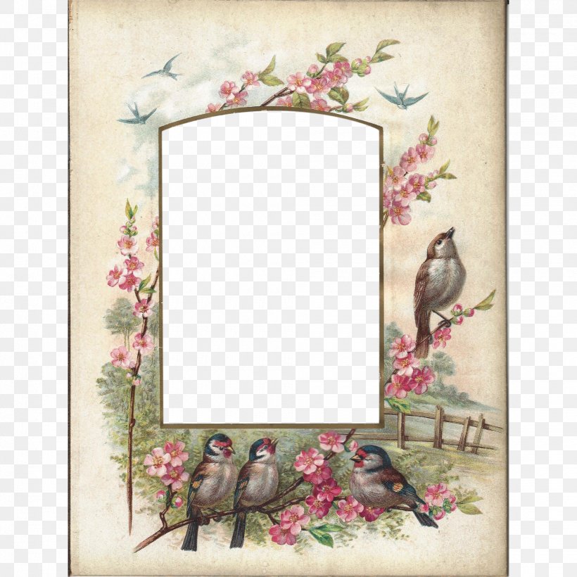 Picture Frames Photo Albums Carte De Visite, PNG, 2020x2020px, Picture Frames, Album, Art Museum, Branch, Cabinet Card Download Free