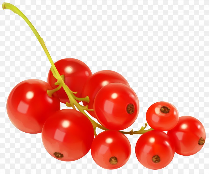 Redcurrant Blackcurrant Berry Clip Art, PNG, 3000x2493px, Redcurrant, Berry, Blackcurrant, Blueberry, Cherry Download Free