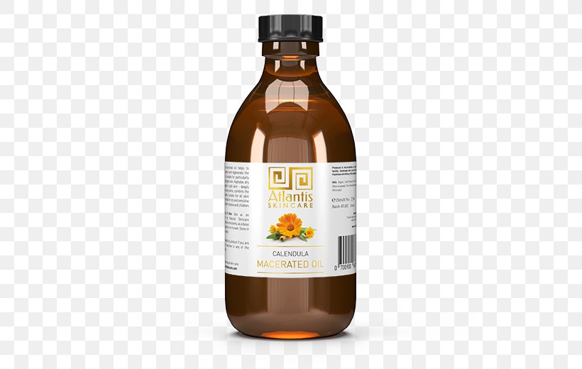 Sea Buckthorn Oil List Of Macerated Oils Infusion Sea Buckthorns, PNG, 520x520px, Oil, Antioxidant, Buckthorn, Calendula Officinalis, Flavor Download Free