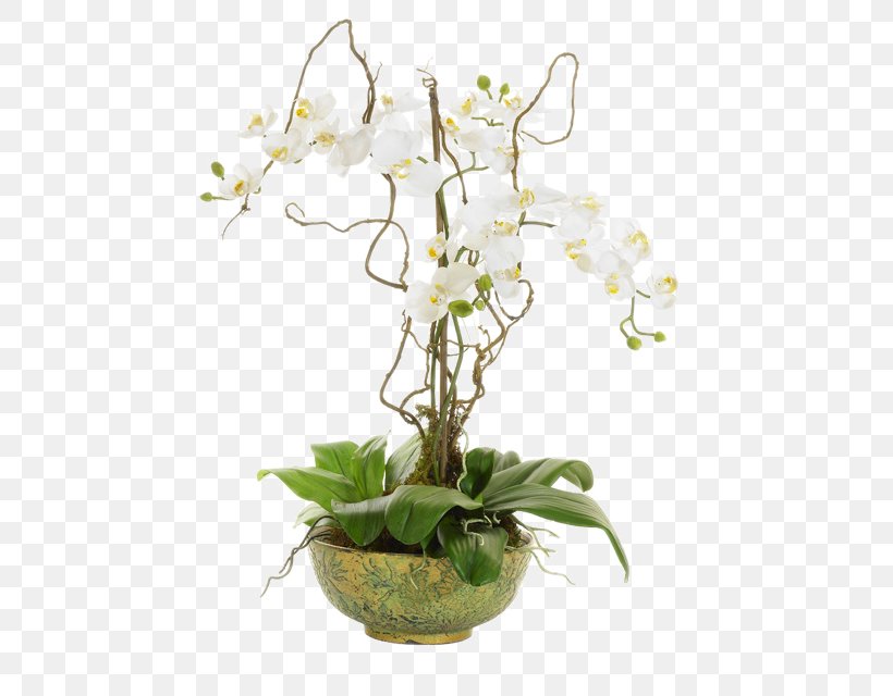 Moth Orchids Flower Vine Floral Design, PNG, 504x640px, Orchids, Artificial Flower, Dendrobium, Flora, Floral Design Download Free