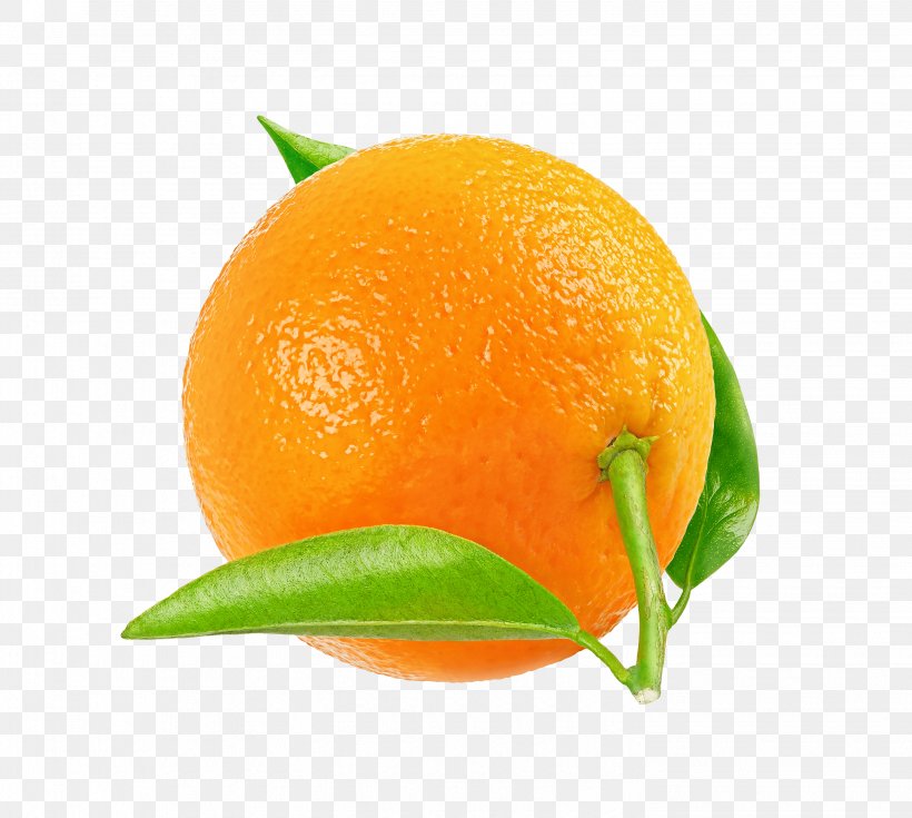 Tangerine Mandarin Orange Tangelo Rangpur Clementine, PNG, 2883x2587px, Tangerine, Bitter Orange, Chenpi, Citric Acid, Citrus Download Free