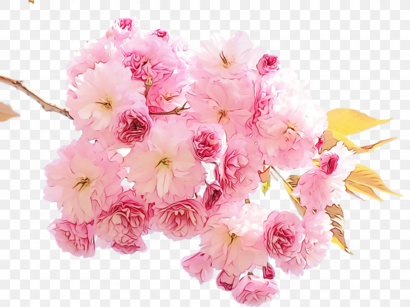 Cherry Blossom, PNG, 1920x1440px, Spring Flower, Artificial Flower, Blossom, Bouquet, Branch Download Free