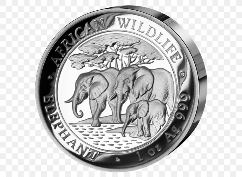 Elephantidae African Elephant Coin Silver Somalia, PNG, 599x600px, Elephantidae, Africa, African Elephant, Black And White, Coin Download Free