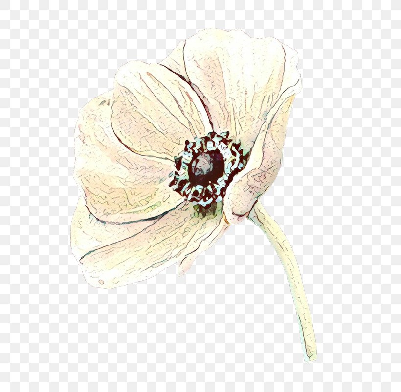 Flower Plant Hair Accessory Beige Brooch, PNG, 800x800px, Cartoon, Anemone, Beige, Brooch, Fashion Accessory Download Free