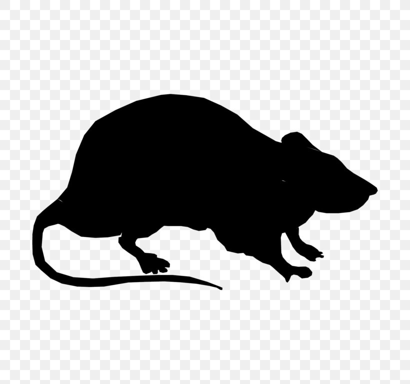 Laboratory Rat Silhouette Black Rat Clip Art, PNG, 768x768px, Laboratory Rat, Black, Black And White, Black Rat, Carnivoran Download Free