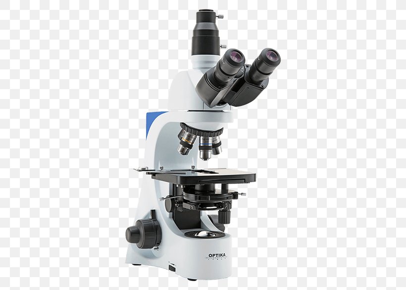 Optical Microscope Phase Contrast Microscopy Optics Objective, PNG, 600x586px, Optical Microscope, Achromatic Lens, Brightfield Microscopy, Contrast, Darkfield Microscopy Download Free