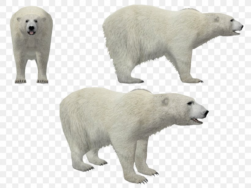 Polar Bear Animal, PNG, 1024x768px, Watercolor, Cartoon, Flower, Frame, Heart Download Free