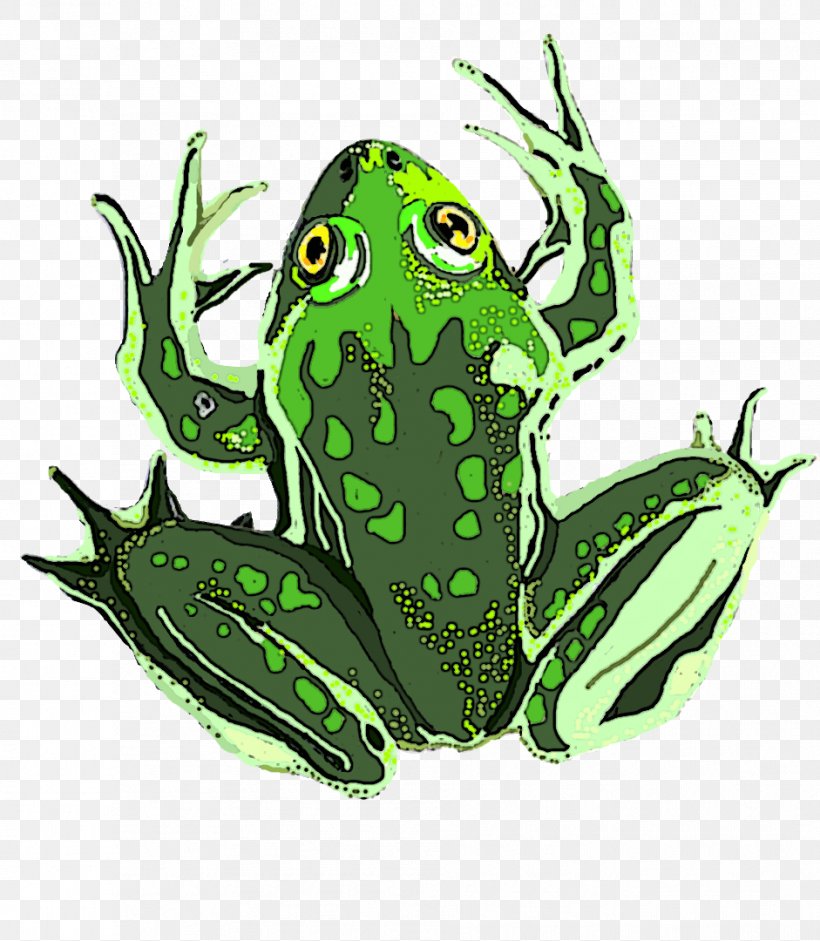 True Frog Amphibian Tree Frog Vertebrate, PNG, 941x1080px, Frog, Amphibian, Animal, Character, Fiction Download Free