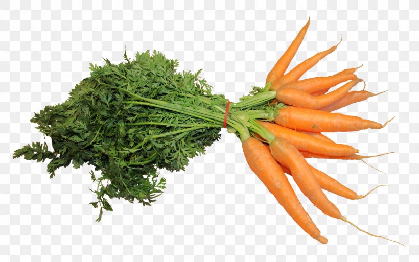 Carrot Cake Juice Vegetable, PNG, 1689x1057px, Juice, Avocado, Carrot, Food, Juicer Download Free