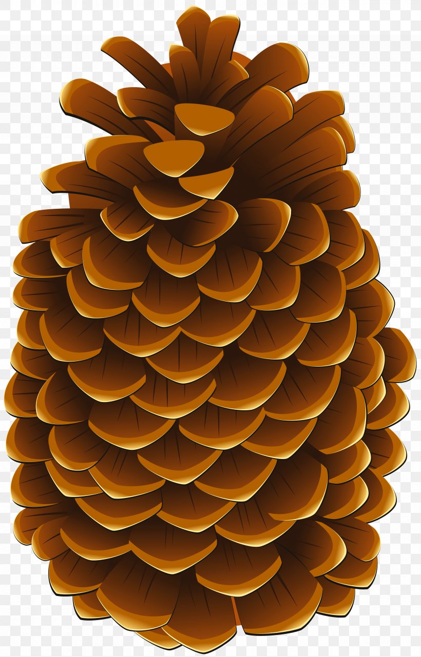 Clip Art Conifer Cone Image Illustration, PNG, 5120x8000px, Conifer Cone, Art, Cone, Drawing, Material Download Free
