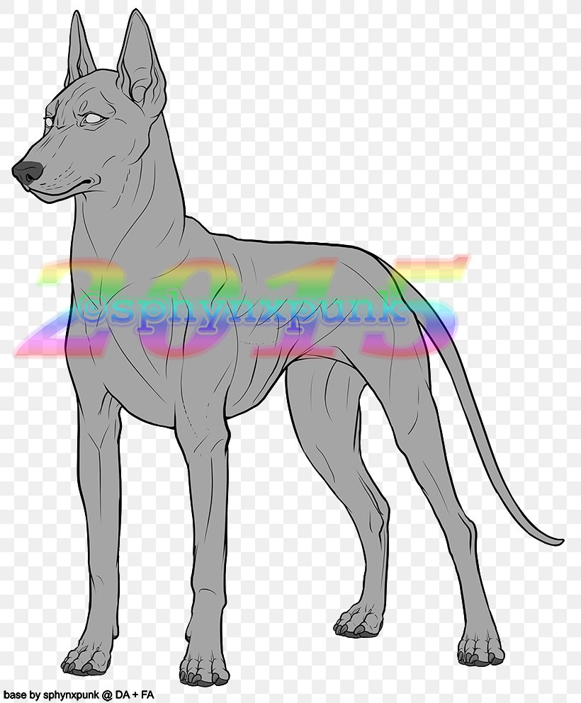Dog Breed Dobermann Pharaoh Hound Feral Canidae, PNG, 819x993px, Dog Breed, Art, Base, Breed, Canidae Download Free