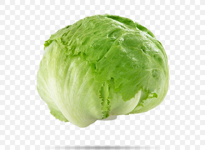 Iceberg Lettuce Stuffing Salad Vegetable Cabbage, PNG, 600x600px, Iceberg Lettuce, Cabbage, Cauliflower, Collard Greens, Cruciferous Vegetables Download Free