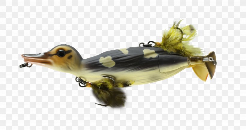 Northern Pike Fishing Baits & Lures Topwater Fishing Lure Muskellunge, PNG, 3600x1908px, Northern Pike, Angling, Bait, Duck, Ducks Geese And Swans Download Free